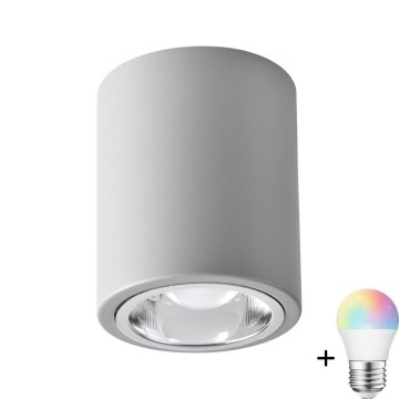 Punto luce LED RGBW dimmerabile JUPITER 1xE27/6,5W/230V 2700-6500K Wi-Fi diametro 9,8 cm grigio