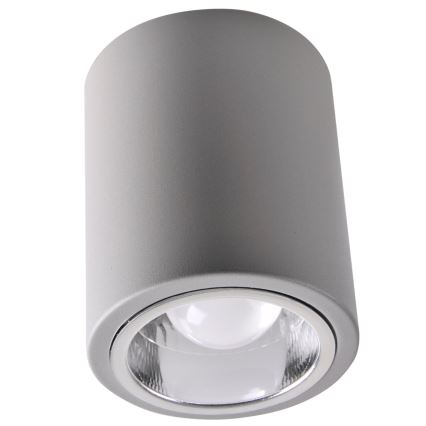 Punto luce LED RGBW dimmerabile JUPITER 1xE27/6,5W/230V 2700-6500K Wi-Fi diametro 9,8 cm grigio
