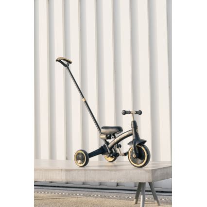 QPlay - Triciclo 3 in 1 per bambini STAGER nero