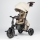 QPlay - Triciclo per bambini 7 in 1 COMFO MAX beige