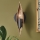 Quintiesse - Lampada da parete WILLOW 1xE14/40W/230V oro/nero