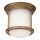 Quintiesse - Plafoniera da esterno HADRIAN 1xE27/60W/230V Ø 16,8 cm IP44 oro