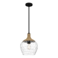Quoizel - Lampadario a sospensione con supporto rigido ROYER 1xE27/60W/230V diametro 30,2 cm limpido/nero/beige