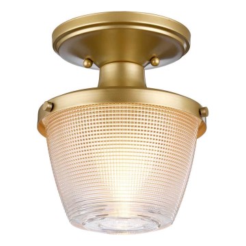 Quoizel - Plafoniera da bagno DUBLIN 1xE27/40W/230V IP44 oro