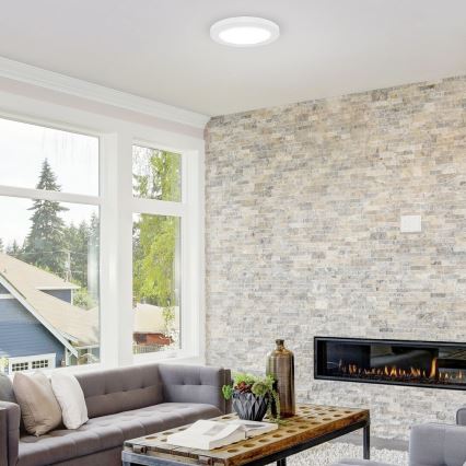 Rabalux - Plafoniera LED LED/18W/230V 23cm