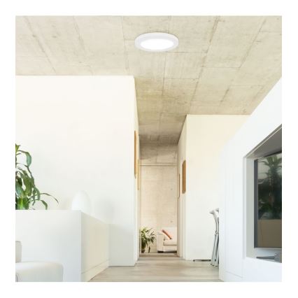 Rabalux - Plafoniera LED con sensore LED/18W/230V 4000K 22,5 cm