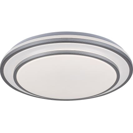 Rabalux - Plafoniera LED dimmerabile LED/40W/230V 3000-6500K argento + telecomando