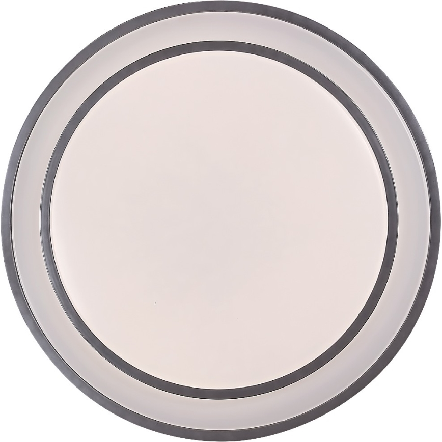 Rabalux - Plafoniera LED dimmerabile LED/40W/230V 3000-6500K argento + telecomando