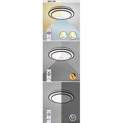 Rabalux - Plafoniera LED dimmerabile LED/40W/230V 3000-6500K argento + telecomando