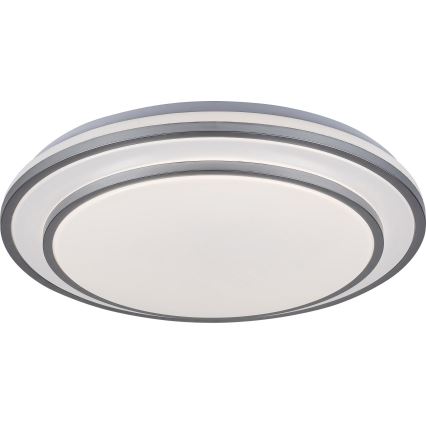 Rabalux - Plafoniera LED dimmerabile LED/40W/230V 3000-6500K argento + telecomando