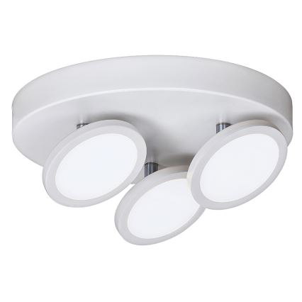 Rabalux - LED Plafoniera 3xLED/6W/230V bianco