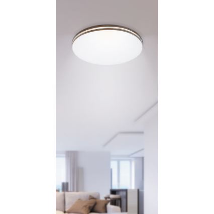 Rabalux - Plafoniera LED 1xLED/18W/230V