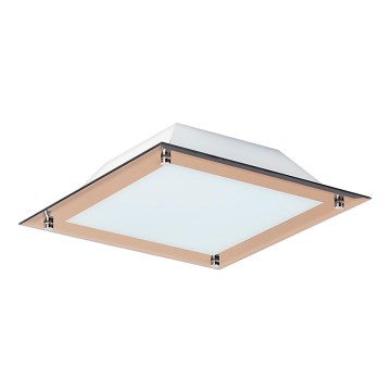 Rabalux 3045 - Plafoniera LED LARS 1xLED/12W/230V