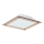 Rabalux 3045 - Plafoniera LED LARS 1xLED/12W/230V
