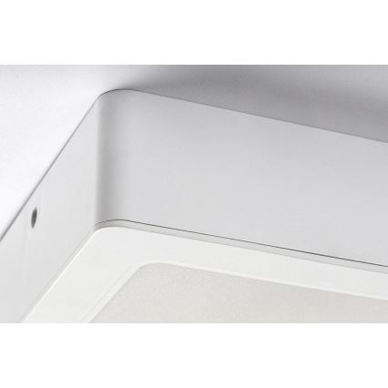 Rabalux - Plafoniera LED LED/12W/230V 14,5x14,5 cm