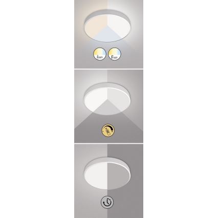 Rabalux - Plafoniera LED dimmerabile LED/60W/230V 60 cm + telecomando