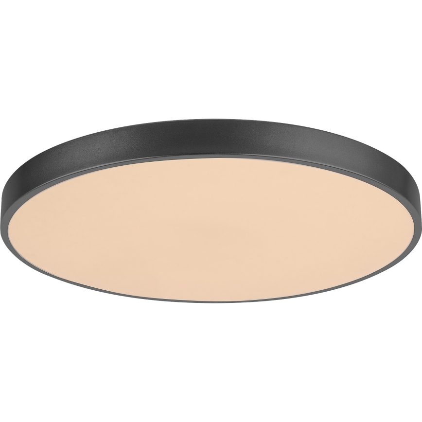 Rabalux - Plafoniera LED dimmerabile LED/60W/230V 60 cm + telecomando