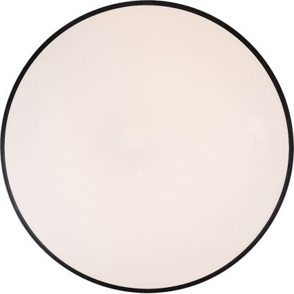 Rabalux - Plafoniera LED dimmerabile LED/60W/230V 60 cm + telecomando