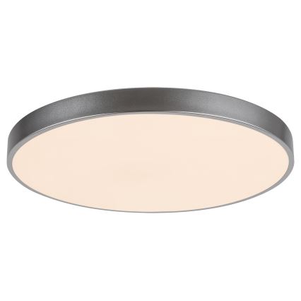 Rabalux - Plafoniera LED dimmerabile LED/60W/230V Ø 60 cm + telecomando (Ø 60 cm)
