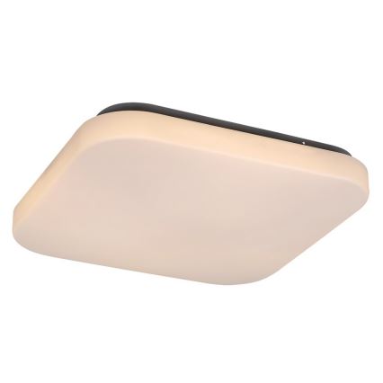 Plafoniera LED ROB LED/20W/230V