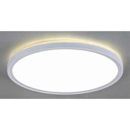 Plafoniera LED dimmerabile PAVEL LED/22W/230V