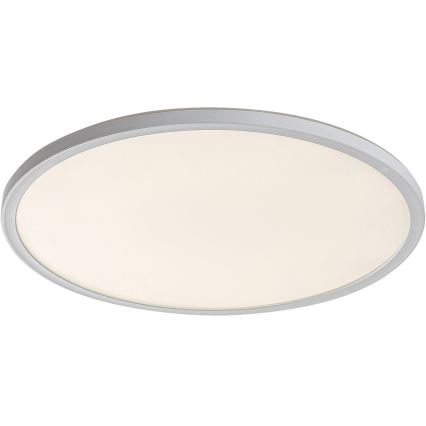 Plafoniera LED dimmerabile PAVEL LED/22W/230V