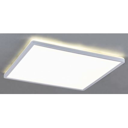 Rabalux 3429 - Plafoniera LED dimmerabile PAVEL LED/18W/230V