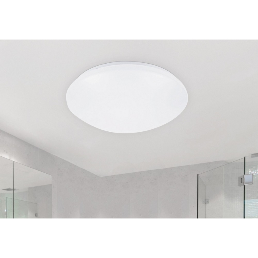 Rabalux - Plafoniera LED LED/24W/230V