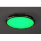 Rabalux - LED RGB Plafoniera da bagno LED/18W/230V diametro 30 cm 3000-6500K IP44 + telecomando