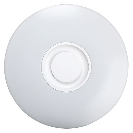 Rabalux - Plafoniera LED dimmerabile 1xLED/24W/230V + telecomando