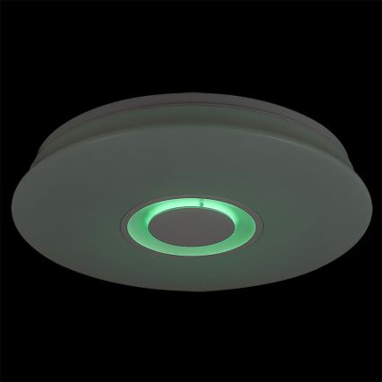 Rabalux - Plafoniera LED dimmerabile 1xLED/24W/230V + telecomando
