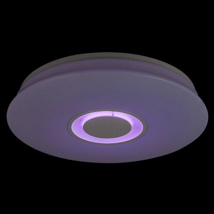 Rabalux - Plafoniera LED dimmerabile 1xLED/24W/230V + telecomando