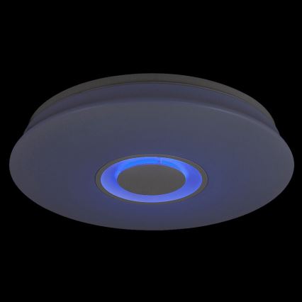 Rabalux - Plafoniera LED dimmerabile 1xLED/24W/230V + telecomando