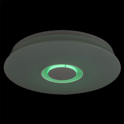 Rabalux - Plafoniera LED dimmerabile 1xLED/24W/230V + telecomando