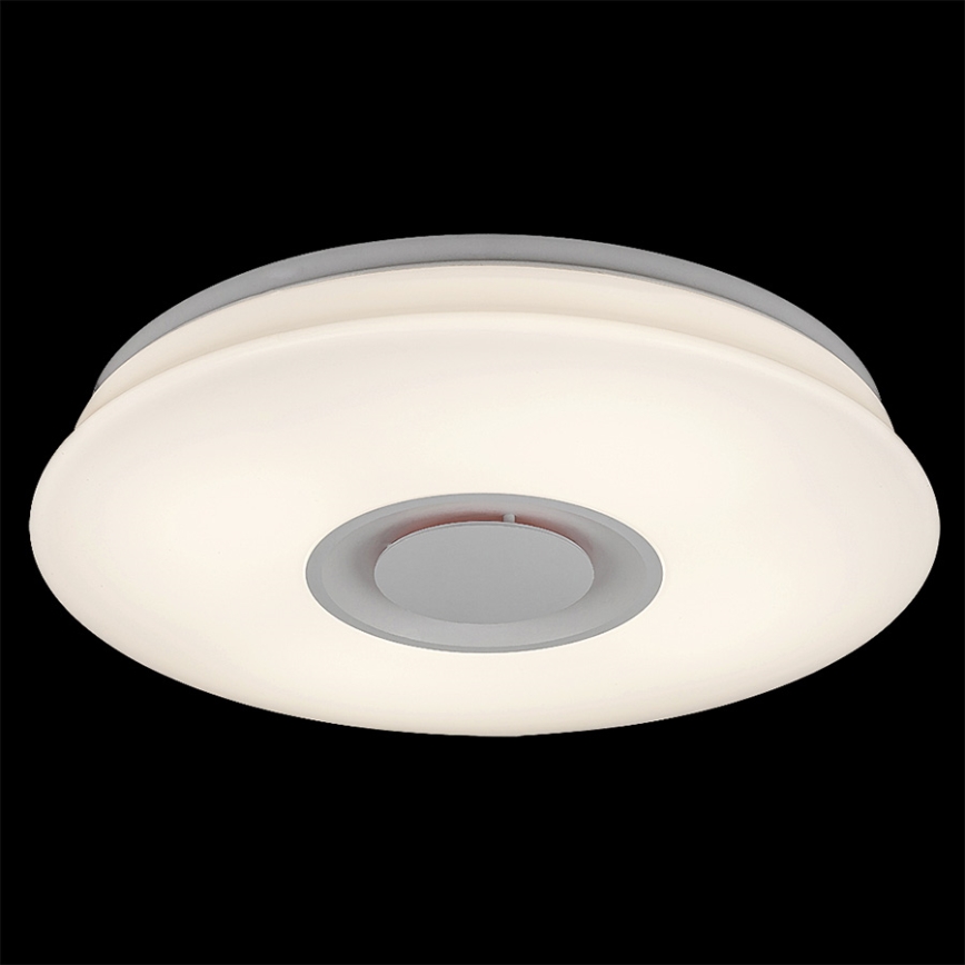 Rabalux 4541 - Plafoniera LED dimmerabile MURRY 1xLED/24W/230V