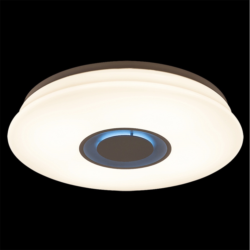 Rabalux 4541 - Plafoniera LED dimmerabile MURRY 1xLED/24W/230V
