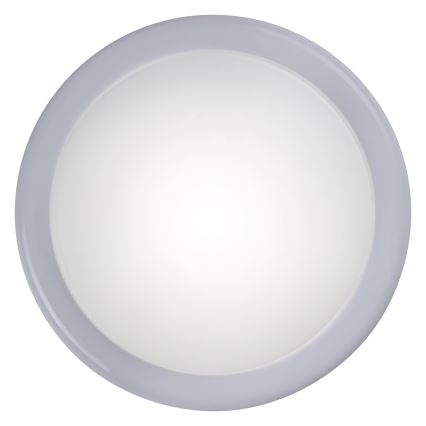 Rabalux - Lampada LED Touch piccola 1xLED/0,3W/2xAA bianco