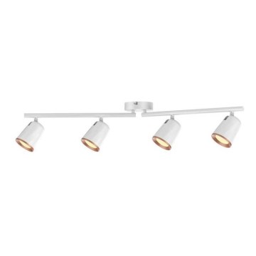 Rabalux 5048 - Luce Spot a LED SOLANGE 4xLED/6W/230V