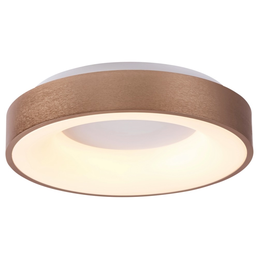 Rabalux - Plafoniera LED CARMELA LED/50W/230V