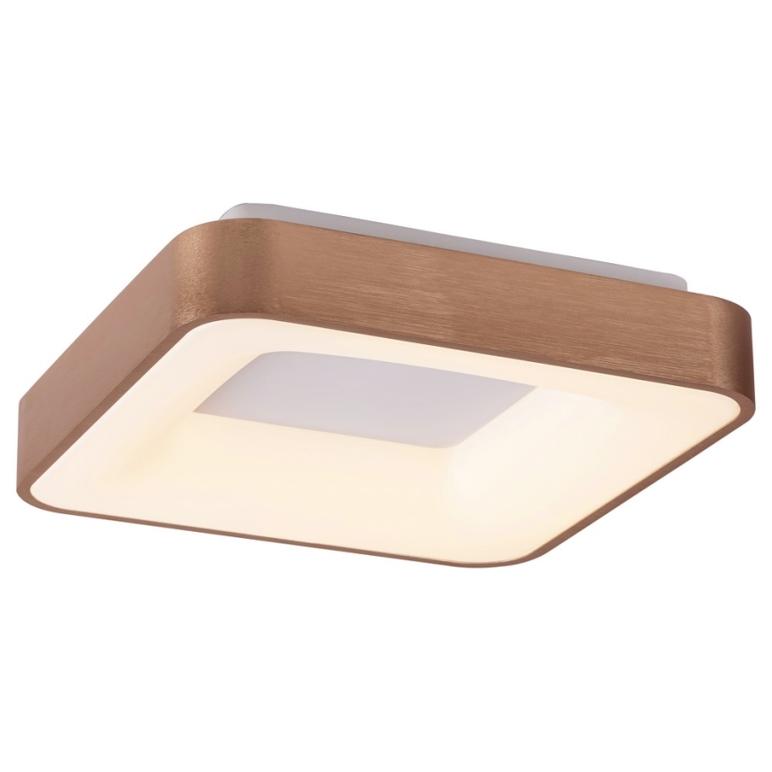 Rabalux - Plafoniera LED CARMELA LED/30W/230V 40x40 cm