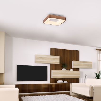 Rabalux - Plafoniera LED CARMELA LED/30W/230V 40x40 cm