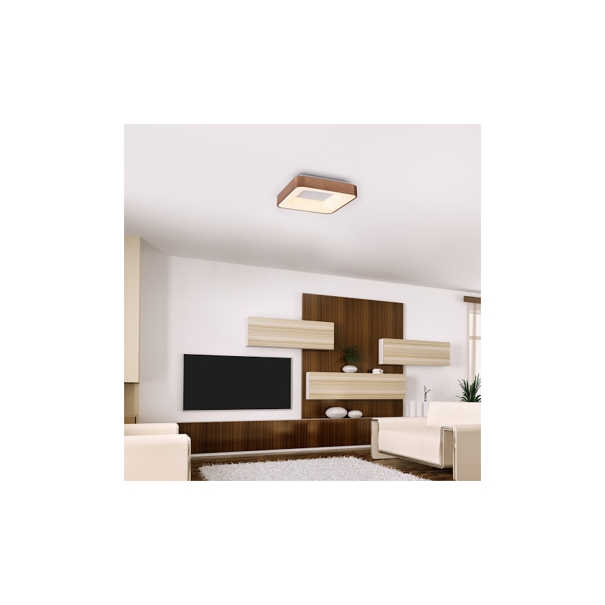 Rabalux - Plafoniera LED CARMELA LED/30W/230V 40x40 cm
