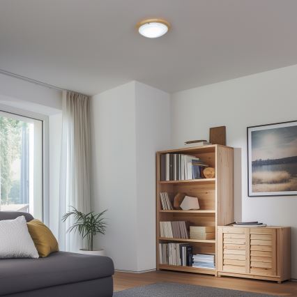 Rabalux - Plafoniera 1xE27/60W/230V diametro 30 cm