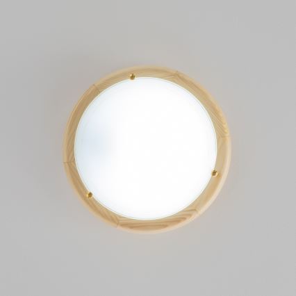 Rabalux - Plafoniera 1xE27/60W/230V diametro 30 cm