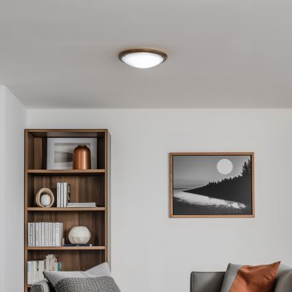 Rabalux - Plafoniera 1xE27/60W/230V diametro 30 cm