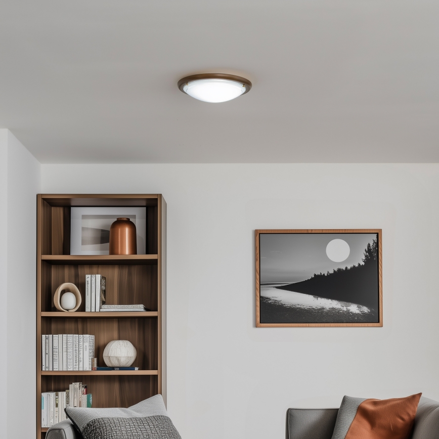 Rabalux - Plafoniera 1xE27/60W/230V diametro 30 cm