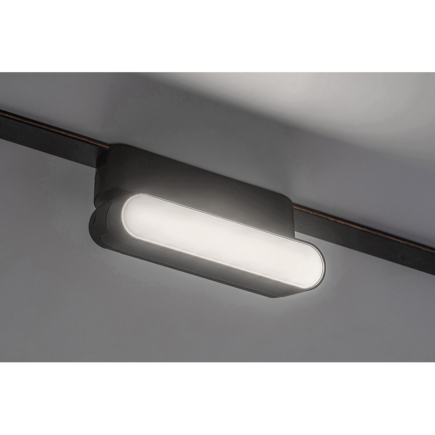Rabalux - LED Plafoniera per binario monofase LED/6W/24V 4000K 11,5 cm nero
