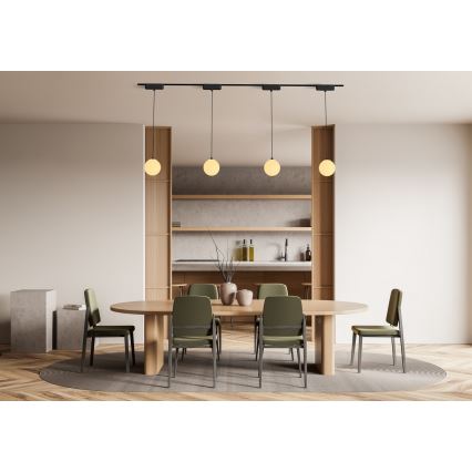 Rabalux - Lampadario a sospensione con filo LED dimmerabile per sistema ferroviario monofase LED/5W/24V 2700-5500K Wi-Fi Tuya nero