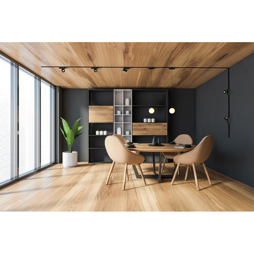Rabalux - Lampadario a sospensione con filo LED dimmerabile per sistema ferroviario monofase LED/5W/24V 2700-5500K Wi-Fi Tuya nero