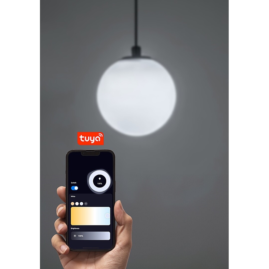 Rabalux - Lampadario a sospensione con filo LED dimmerabile per sistema ferroviario monofase LED/5W/24V 2700-5500K Wi-Fi Tuya nero